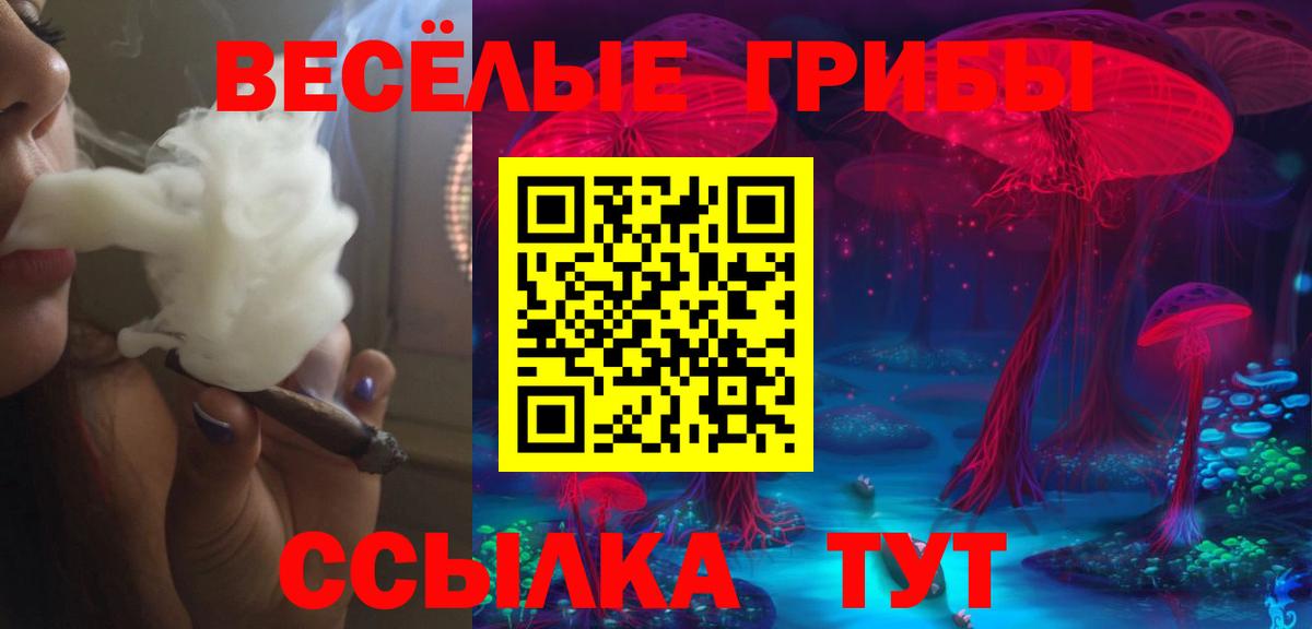 Галлюциногенные грибы мухоморы  Вход с VPN  Сегежа 