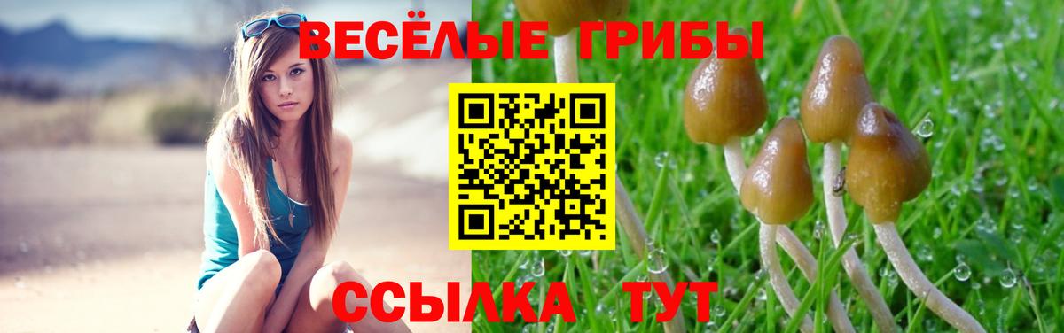 Галлюциногенные грибы GOLDEN TEACHER Сегежа
