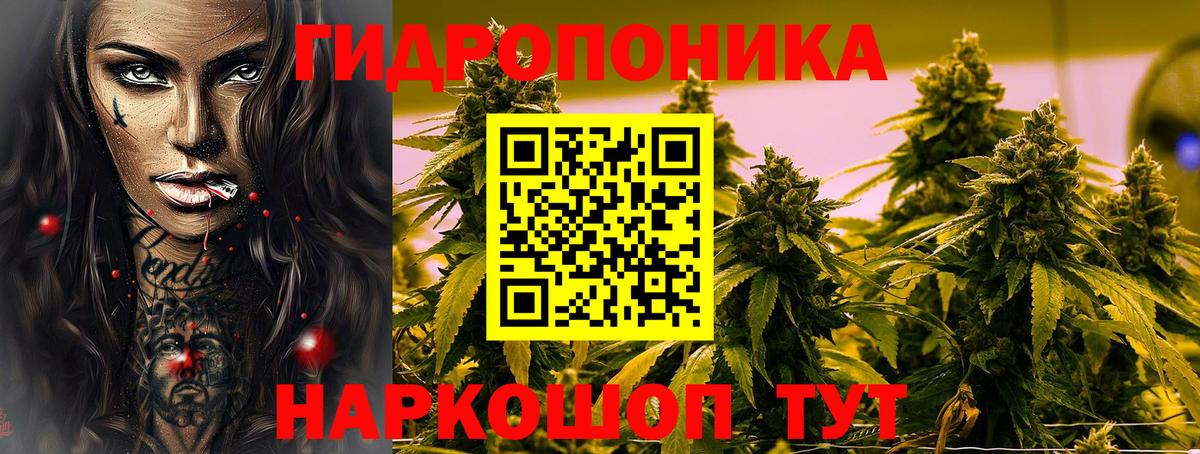 Бошки марихуана индика Сегежа